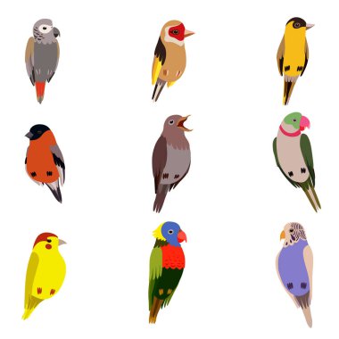 Küçük Kuşlar Seti, Amadin, Bullfinch, Kanarya, Papağan, Bülbül, Goldfinch, Budgerigar, Sevimli Ev Evcil Vektör İllüstrasyon