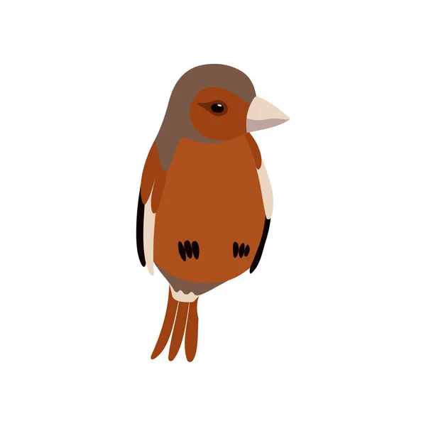 Kleiner Sperling Vogel, niedliche Birdie Haustier Vektor Illustration — Stockvektor