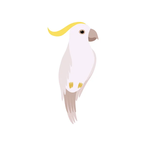 Little Cockatoo Bird, Cute Birdie Home Pet Vector Illustration — Stock Vector
