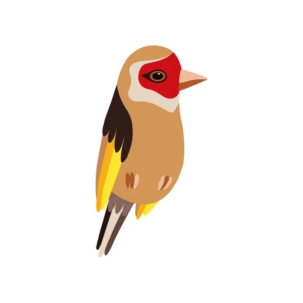 Liten Goldfinch fågel, Söt Birdie hem sällskapsdjur vektor illustration — Stock vektor