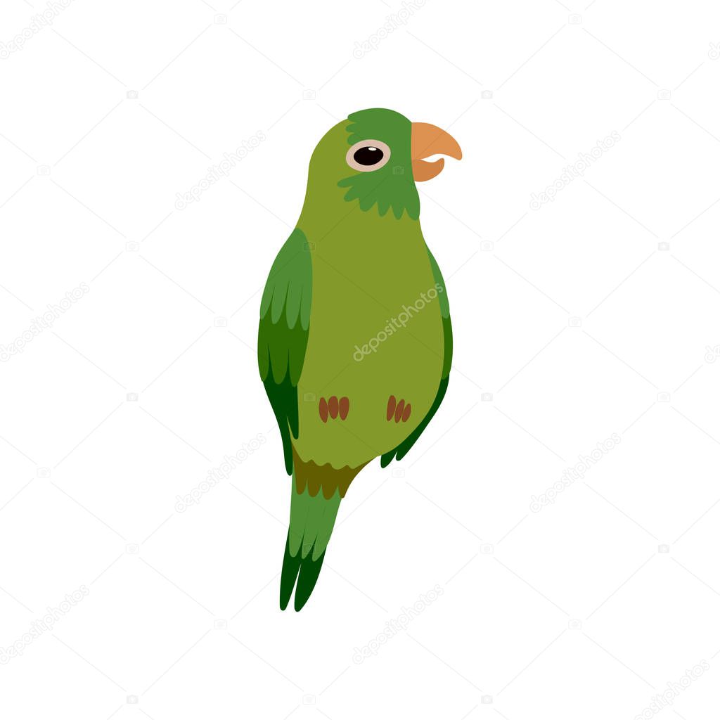 Little Parrot Bird, Cute Green Budgie Home Pet Vector Illustration