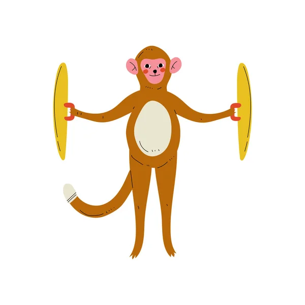 Opice hrající Cymbals, roztomilý kreslený živočišný hudebník postava hraničářka hudební nástroj ilustrace — Stockový vektor