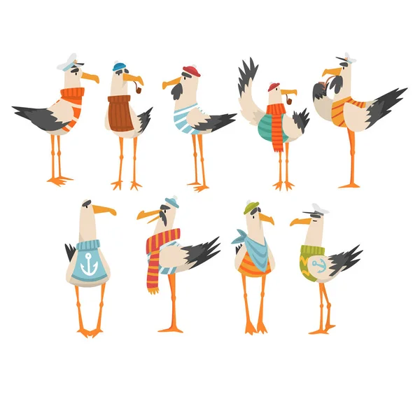 Conjunto de marineros de gaviotas, Divertidos personajes de dibujos animados aves Vector Ilustración — Vector de stock