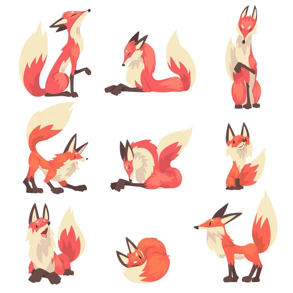 Verzameling van Rode vossen tekens cartoon vector illustratie — Stockvector