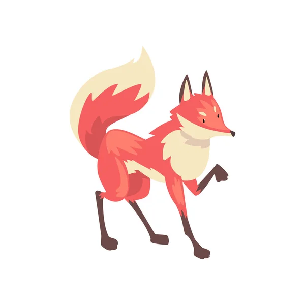 Sevimli sinsi kırmızı Fox karakter karikatür vektör Illüstrasyon — Stok Vektör