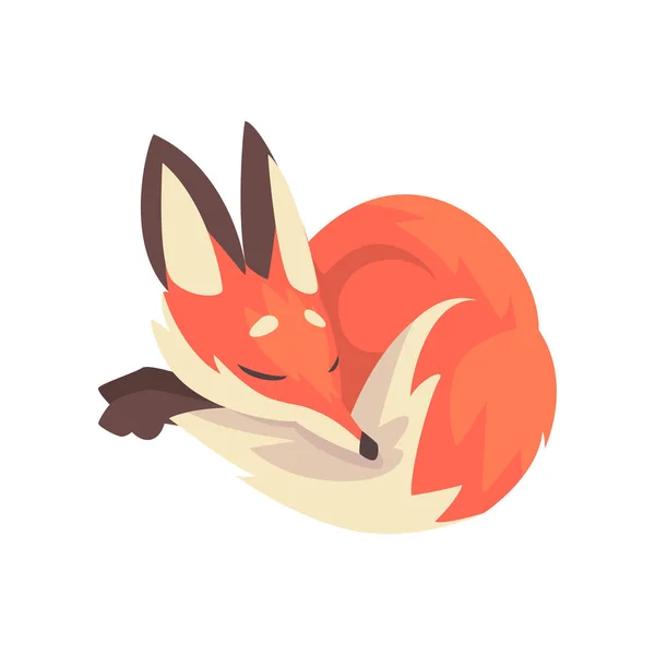 Lindo sueño Red Fox personaje de dibujos animados Vector Ilustración — Vector de stock