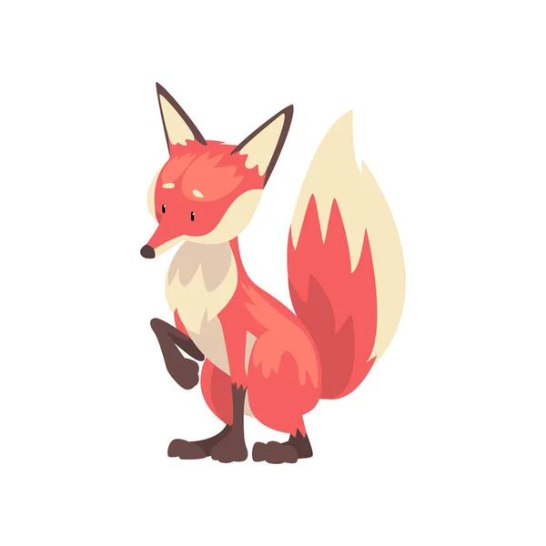 Adorable personaje de Fox Cub rojo Dibujos animados Vector Ilustración — Vector de stock