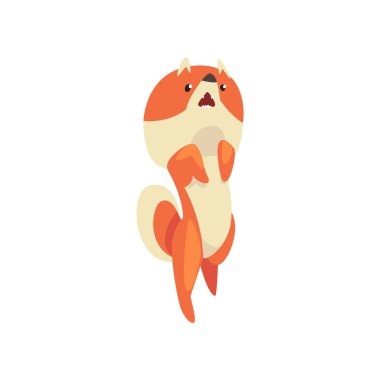 Sevimli Pomeranian Spitz Onun Hind Feet, Funny Pet Dog Karikatür Karakter Vektör İllüstrasyon ayakta