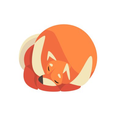 Sevimli Uyuyan Pomeranian Spitz, Sevimli Pet Dog Çizgi Film Karakter Vektör İllüstrasyon