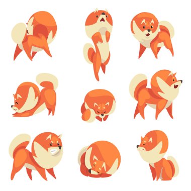 Sevimli Pomeranian Spitz Farklı Pozlar Seti, Komik Pet Köpek Karikatür Karakter Vektör İllüstrasyon