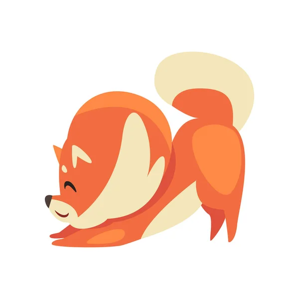 Estiramento engraçado bonito do Spitz de Pomeranian, ilustração adorável do vetor do caráter dos desenhos animados do cão do animal de estimação — Vetor de Stock