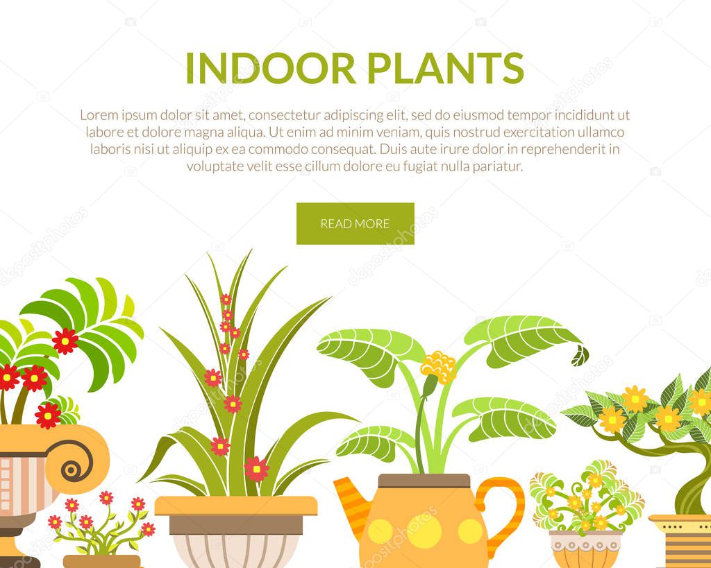 Indoor Plants Banner, Landing Page Template, Blooming House Plants in Flower Pots Vector Illustration