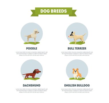 Köpek Irkları Banner Şablon, Kaniş, Dachshund, Bull Terrier, İngilizce, Bulldog Vektör İllüstrasyon