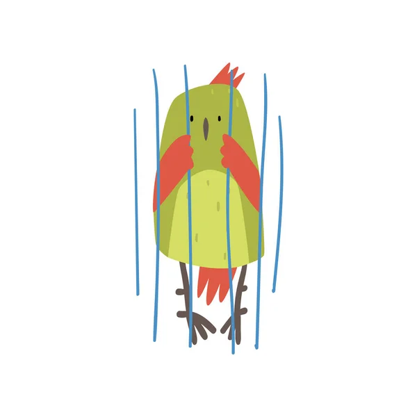 Lindo pájaro en jaula, personaje divertido de dibujos animados Birdie con plumas verdes brillantes en cautividad Vector Ilustración — Vector de stock