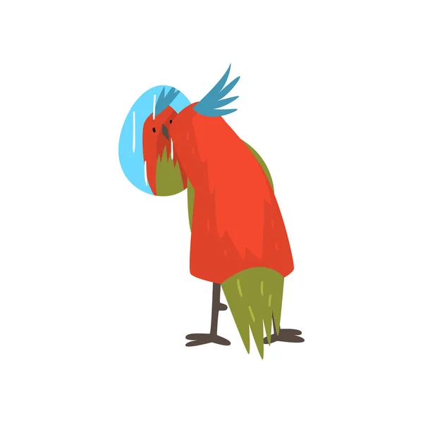 Lindo pájaro mirada en el espejo, divertido personaje de dibujos animados Birdie con brillantes plumas de colores y Tuft Vector Ilustración — Vector de stock