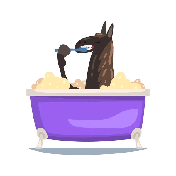 Lustiges schwarzes Pferd beim Baden und Zähneputzen, lustiges Tierwaschen in schäumenden Badewannen-Vektorillustrationen — Stockvektor