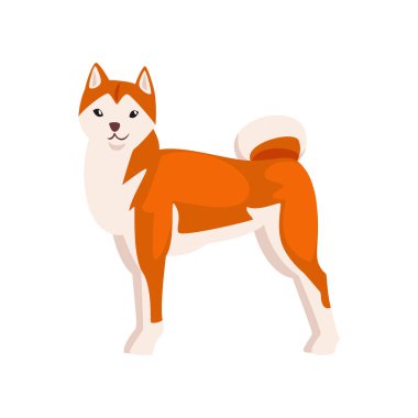 Shiba Inu Köpek, Sevimli Japonya Kabarık Pet Hayvan Vektör İllüstrasyon