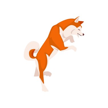 Shiba Inu Köpek Hind Feet, Sevimli Japonya Kırmızı ve Beyaz Kabarık Pet Hayvan Vektör İllüstrasyon üzerinde duran