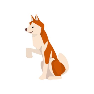 Shiba Inu Köpek, Sevimli Oturan Kahverengi Bej Kabarık Pet Hayvan, Yan Görünüm Vektör İllüstrasyon