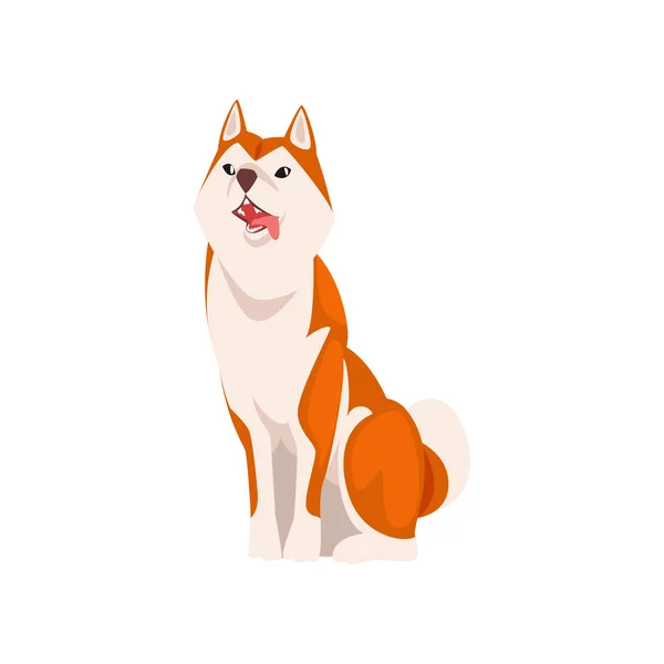 Shiba Inu Dog, Cute Sitting Japan Fluffy Pet Animal Vector Illustratio — Stock Vector