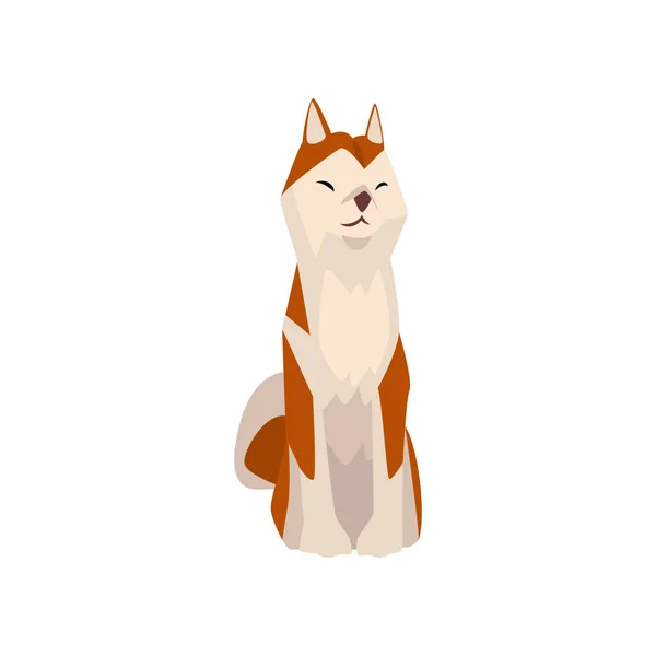 Shiba inu Hund, niedlich sitzend braun beige flauschiges Haustier, Vektorillustration von vorne — Stockvektor