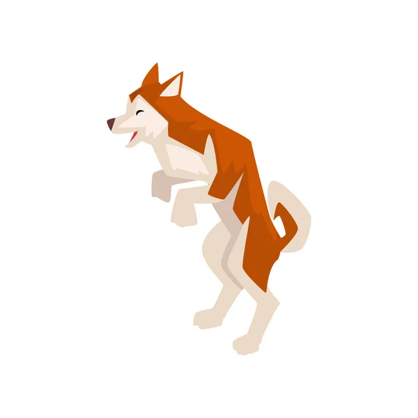 Shiba inu Hund auf Hinterfüßen stehend, niedliche braun beige flauschige Tiervektorillustration — Stockvektor
