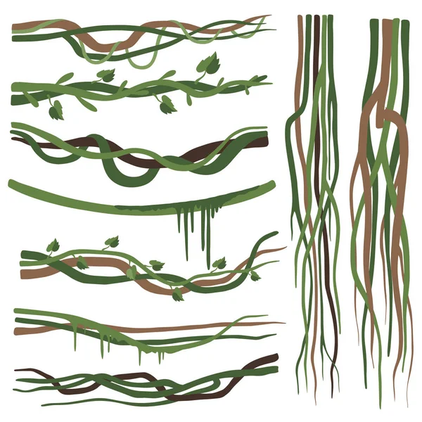Tropiska Liana grenar, stjälkar, vinstockar uppsättning, djungel växter dekorativa element, regnskog Flora vektor illustration — Stock vektor