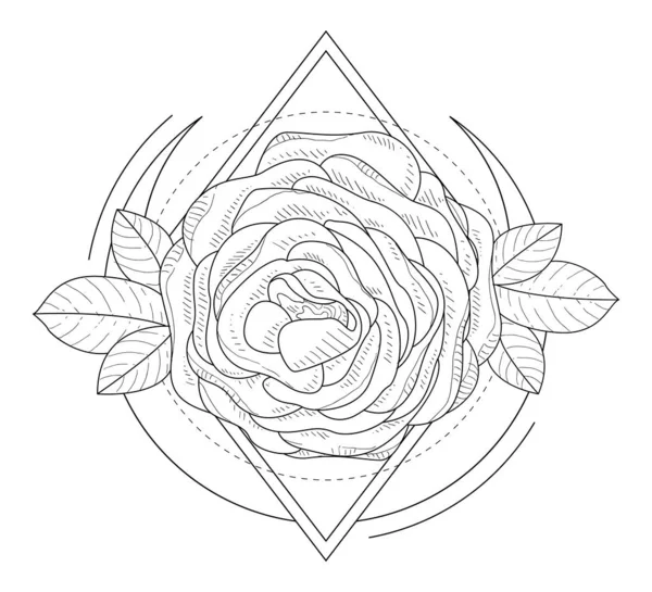 Rosenblüten in geometrischem Rahmen handgezeichnet monochrome Vektorillustration — Stockvektor