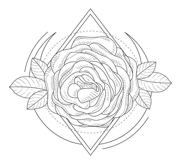 Rose Flowers in Geometrical Frame Hand Drawn Monochrome Vector Illustration
