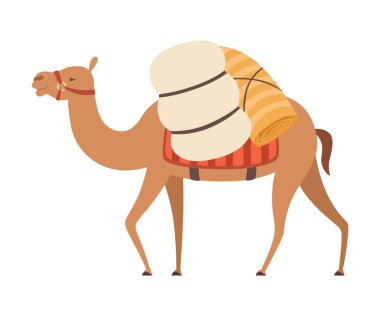 Ağır Yük ile Camel Desert Hayvan Yürüyüş, Yan Görünüm Vektör İllüstrasyon