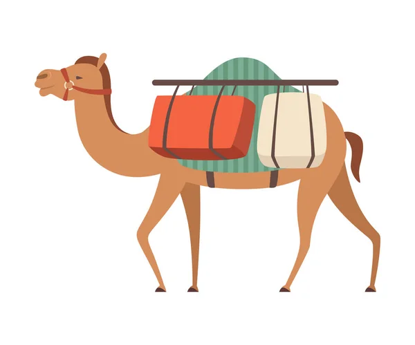 Camel Desert Animal portant une lourde charge, Illustration vectorielle de vue latérale — Image vectorielle