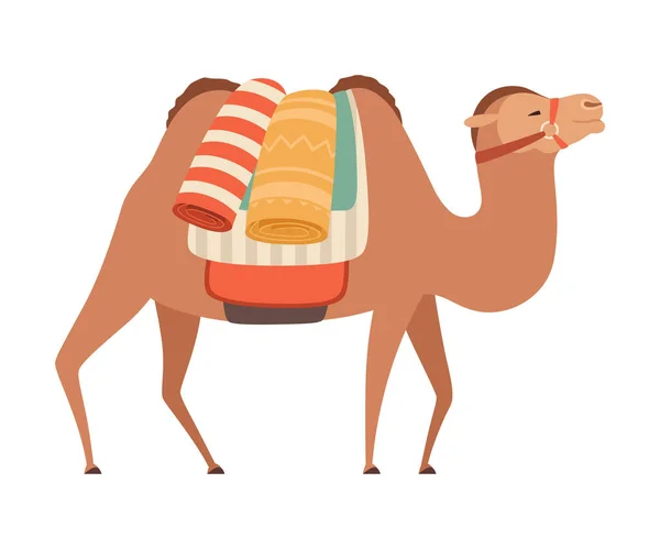 Kamel mit Zaumzeug und Sattel, Wüstentier mit Ladung, Seitenansicht Vektorillustration — Stockvektor