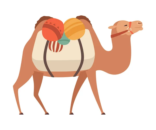 Kamel, zwei bucklige Wüstentiere mit Ladung, Seitenansicht Vektorillustration — Stockvektor