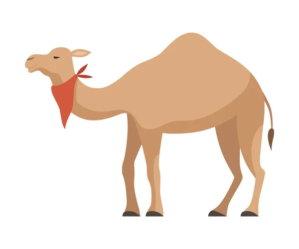 Dromedary, One Humped Camel Desert Animal with Red Neckerchief Vector Illustration — Stock Vector