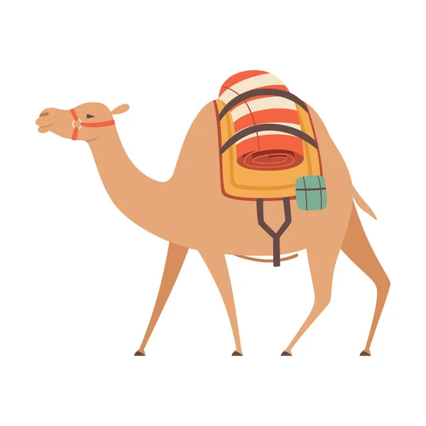 Dromedar, ein buckliges Kamel mit Sattel und Ladung, seitliche Vektordarstellung — Stockvektor