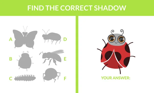 Shoda hry s roztomilým hmyzem, vyhledání správného stínového pedagogického zápasu pro děti vektorový obrázek — Stockový vektor