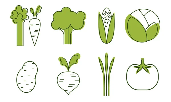 Verse groenten iconen set, kool, bieten, tomaat, broccoli, asperges, wortel, Corncob, biologisch gezond voedsel ondertekent vector illustratie — Stockvector