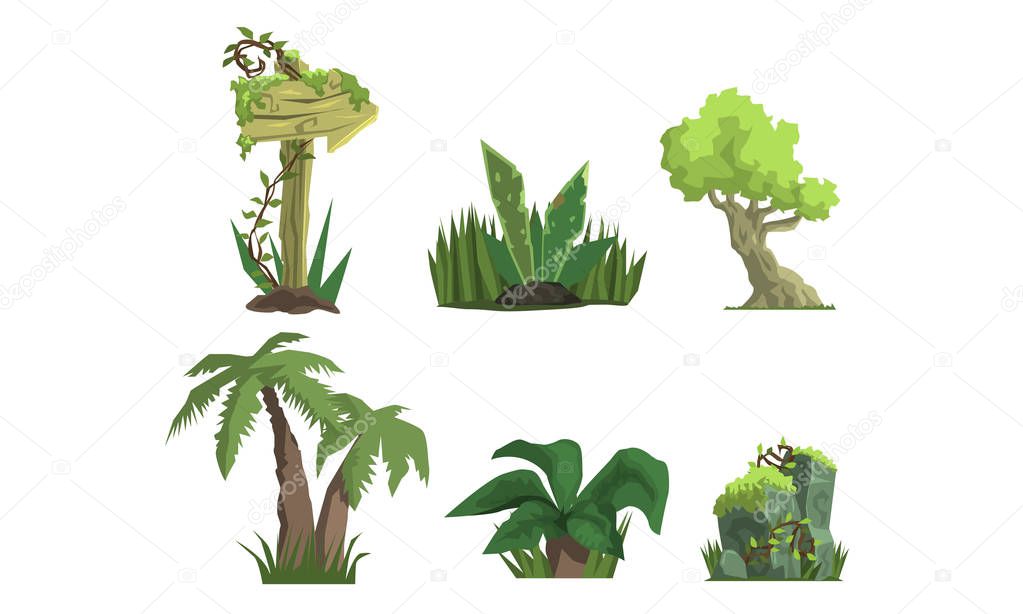 Tropical Jungle Trees and Plants Set, User Interface Assets for Mobile App or Video Game Vector Illustration