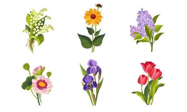 美しい花セット、谷のユリ、ライラック、アイリス、チューリップベクトルイラスト — ストックベクタ