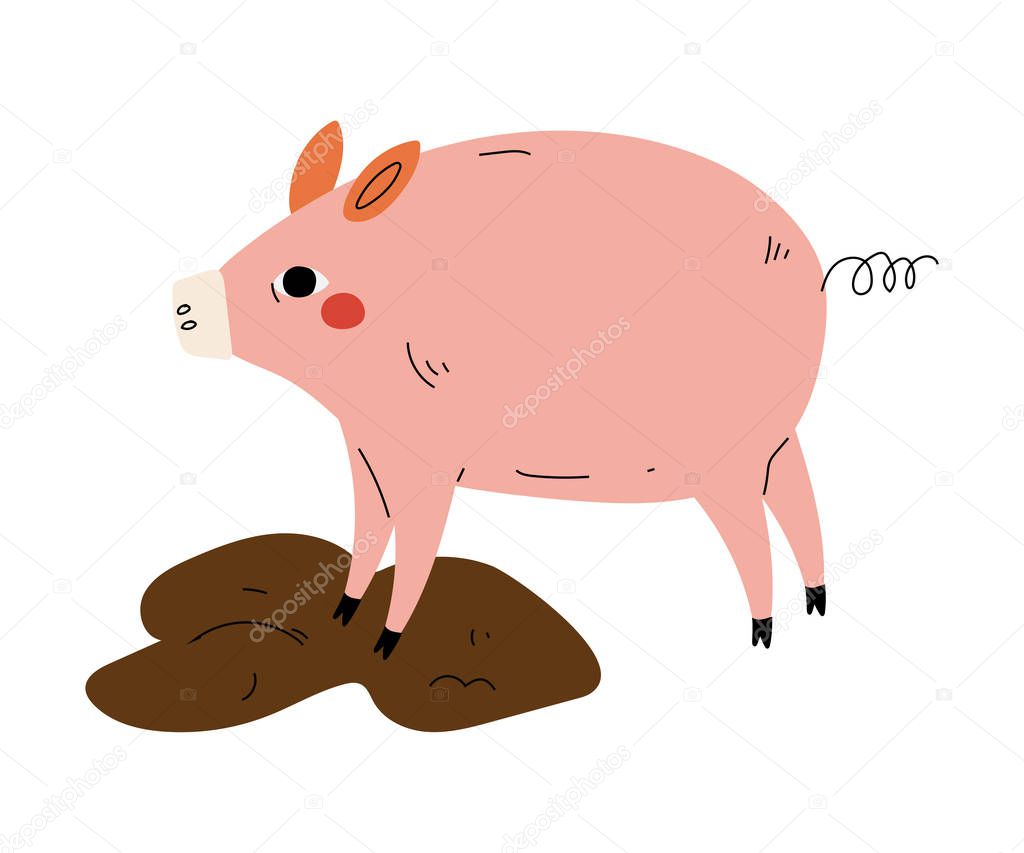 Pig in Dirty Puddle, Agriculture, Farm Animal Vector Illustration