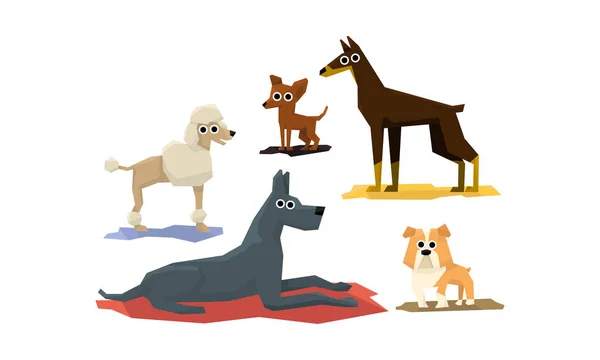 Perros divertidos de diferentes panes, lindos animales de compañía personajes Vector Ilustración — Archivo Imágenes Vectoriales