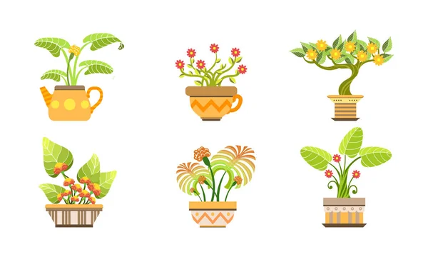 Blooming Potted Plants Set, Home or Office Decorative Plants and Flowers in Pots Vector Illustration — Stock Vector