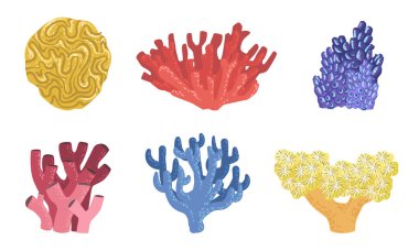 Deniz Su Bitkileri Seti, Renkli Sualtı Yosunları ve Deniz Yosunları Vektör İllüstrasyonu