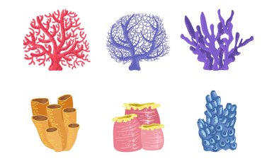 Sualtı Bitkileri Seti, Renkli Deniz Yosunları ve Deniz Yosunları Vektör İllüstrasyonu