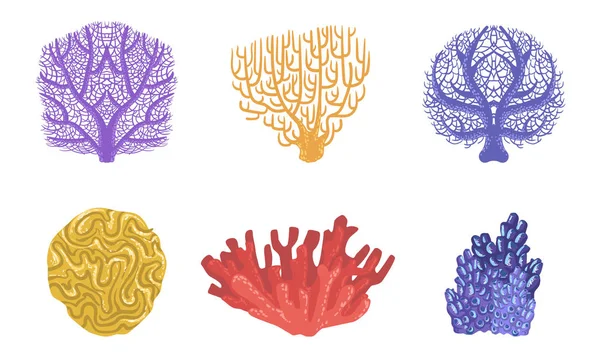Set di piante acquatiche marine, alghe marine colorate e illustrazione vettoriale delle alghe marine — Vettoriale Stock