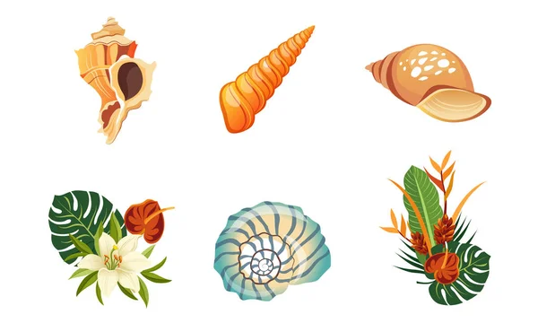 Conjunto de conchas de mar, hojas de palma y flores, hermosos elementos de diseño de paisaje tropical Vector ilustración — Archivo Imágenes Vectoriales