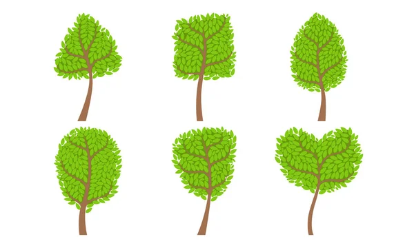 Colección de árboles deciduos verdes con corona de varias formas, elementos de diseño de paisaje de verano Vector Ilustración — Vector de stock