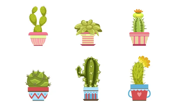 Cacto e suculentas em vasos de flores conjunto, vasos Houseplants Vector Ilustração —  Vetores de Stock