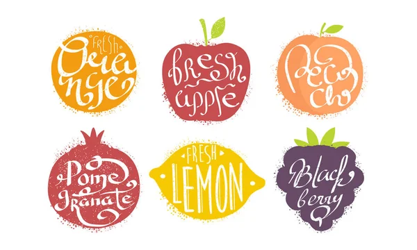 Fresh Fruits Prints Set, Orange, Apple, Peach, Pomegranate, Lemon, Blackberry Grunge Style Vector Illustration — Stock Vector