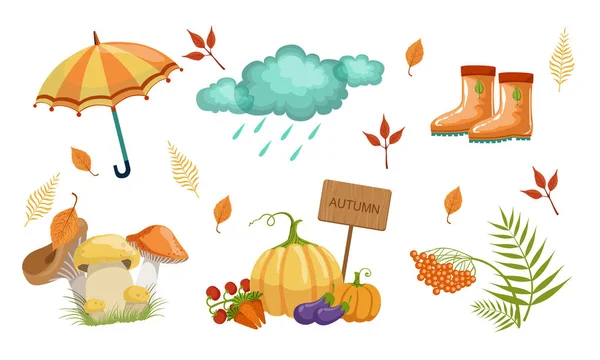 Collection d'objets de la saison d'automne, Éléments de design automnal, Parapluie, Nuage de pluie, Bottes en caoutchouc, Champignons, Légumes, Illustration vectorielle des feuilles de frêne de montagne — Image vectorielle